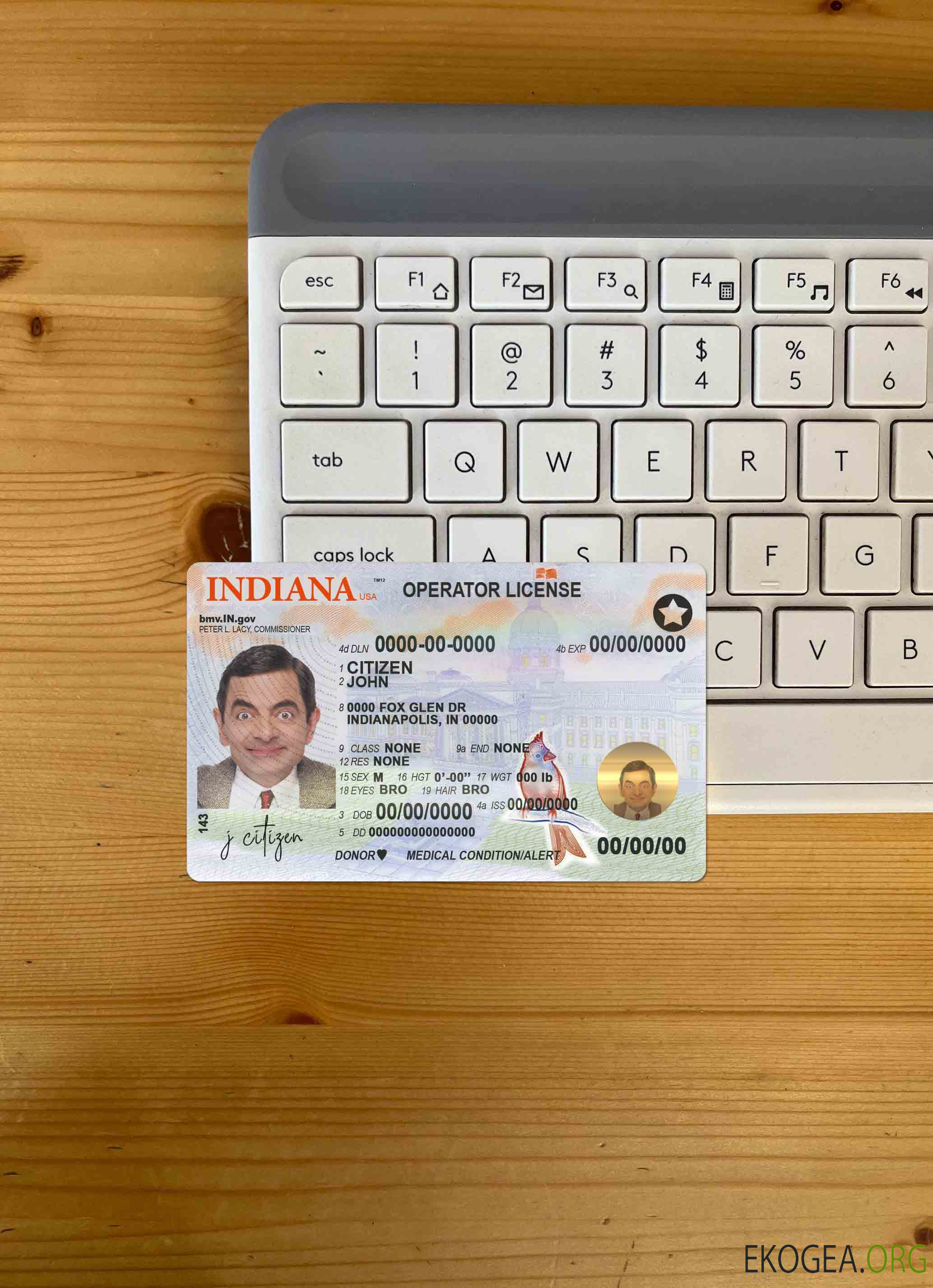 Modèle de permis de conduire (opérateur) USA Indiana au format PSD (2019 – présent) photolook FRONT